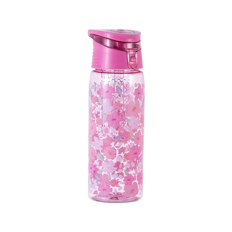 Tragbare Früchtetee-Wasserflasche H2019119 700 ml